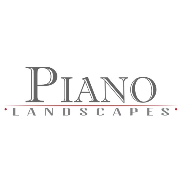 PIANO LANDSCAPES: Música instrumental para relajarte station logo