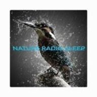 NATURE RADIO SLEEP station logo