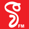 V FM station logo
