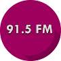 91.5 FM Panzer Radio Station station logo