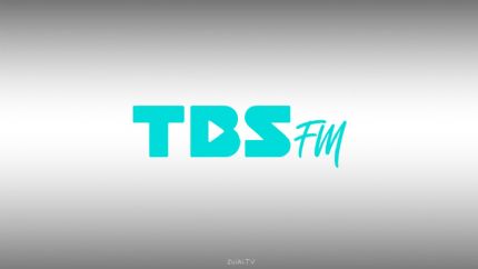 TBS eFM 101.3 station logo